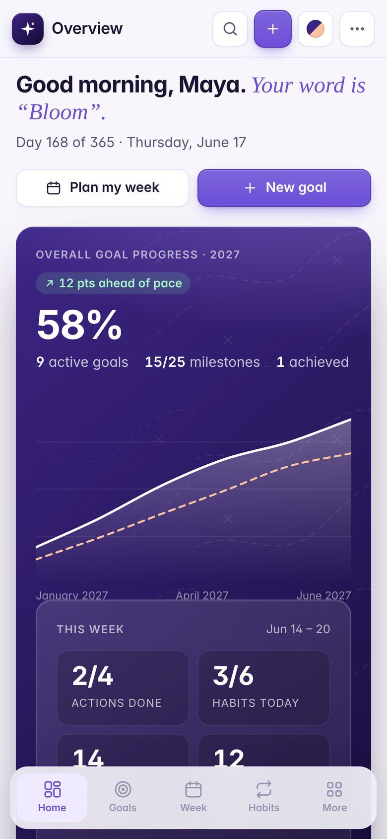 North Star goal planner on an iPhone, with fictional sample data